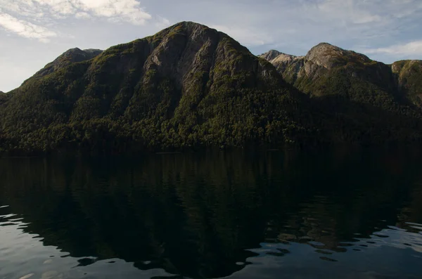 湖と山 パタゴニアの森 水の中の山の反射 — ストック写真