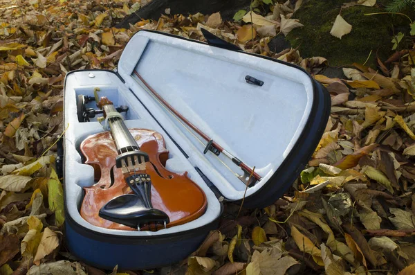 バイオリンは庭で開かれ秋の葉を持つ楽器は — ストック写真