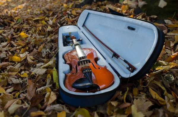 Ξύλινο Βιολί Για Κάνει Κλασική Μουσική Δωματίου Μέσα Μια Περίπτωση — Φωτογραφία Αρχείου