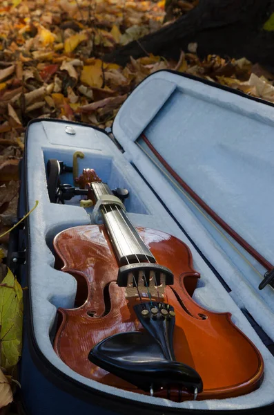 箱子里的古典小提琴 室内乐的自然环境 — 图库照片