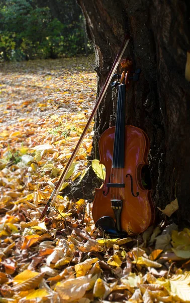 天然公園の木の幹に弓で立つクラシックバイオリン 弦の楽器と弓のあるニスの木 — ストック写真