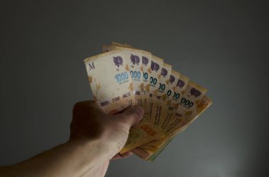 El ele tutuşan 1000 Arjantin pesosu, gri arka plan, ev ekonomisi ve finans