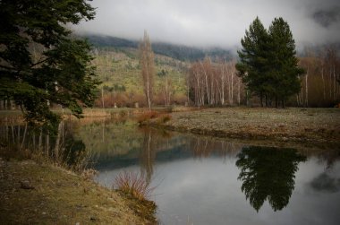 Arjantin Patagonya 'daki Chubut deliğindeki bir göldeki ağaçların yansıması. çamlar, dağlar ve su bulutlu bir günde
