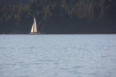 Dağların ve ormanın ufuklarında bir gölde yelken açan yelkenli. Bariloche yakınlarındaki Arjantin Patagonya 'da seyrüsefer