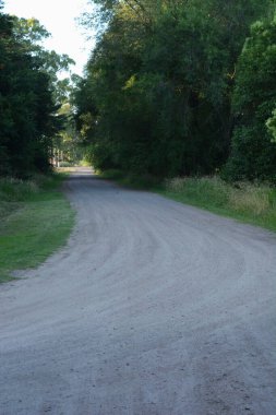 Toprak arazi yolu, ileride viraj var. Sağa doğru kıvrımlı yol
