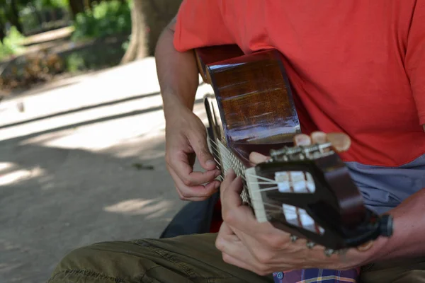 Junger Mann Der Freien Klassische Spanische Oder Kreolische Gitarre Spielt — Stockfoto