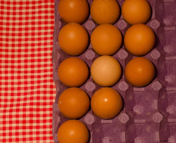Huevos Color Arce Mantel Campo Cuadros Mantel Rojo Blanco Con —  Fotos de Stock