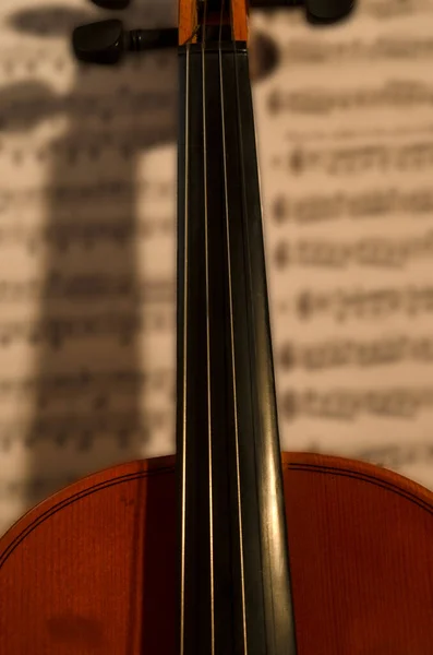 Geige Mit Noten Rücken Klassische Oder Kammermusikalische Holzgeige Musikinstrument Mit — Stockfoto