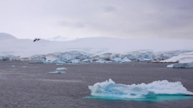 Denizdeki buzdağları açık mavi. Denizin arkasında uzun buzdağları var..