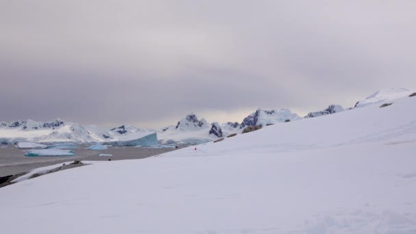 在被冰山环绕的海湾里 有一条小船 — 图库视频影像