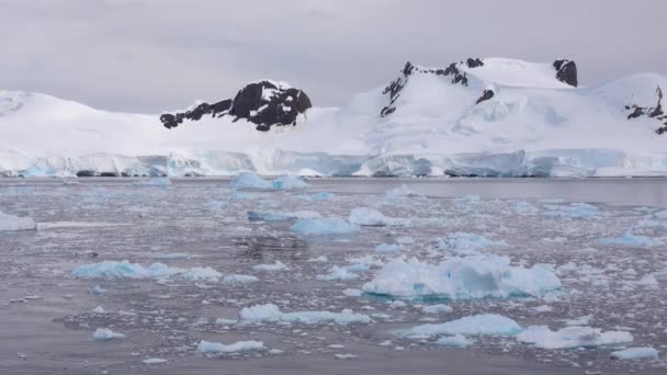 Ozean Gibt Viele Eisschollen Unterschiedlicher Größe — Stockvideo