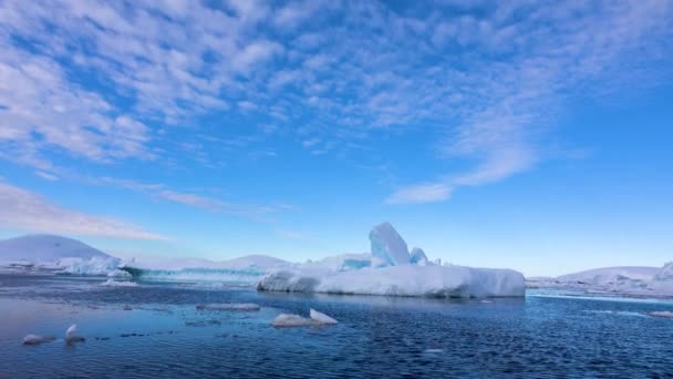 在海里航行的时候 海洋里有许多不同大小的浮冰 — 图库视频影像