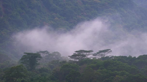 웨이브 산에서 안개와 구름이 시간을 구름과 안개가 골짜기를 가로질러 서서히 — 비디오