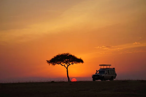 Güneş batarken Masai Mara 'nın güzel bir manzarası. Romantik atmosfer. Çok sayıda hayvan Kenya, Afrika 'daki Masai Mara Ulusal Vahşi Yaşam Sığınağı' na göç ediyor. 2016.