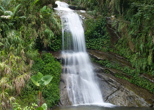 A small waterfall between the mountains and the forest. Tea, bamboo, betel nut tree, Cattle Egret migration, Chiayi County Meishan Township features, Taiwan.