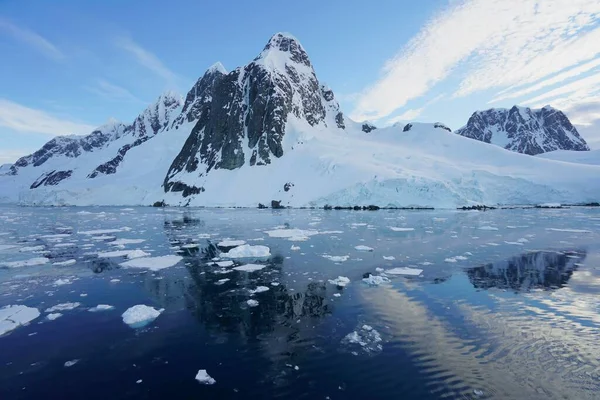 Este Verano Isla Pleneau Península Antártica Hay Pingüinos Ballenas Icebergs —  Fotos de Stock