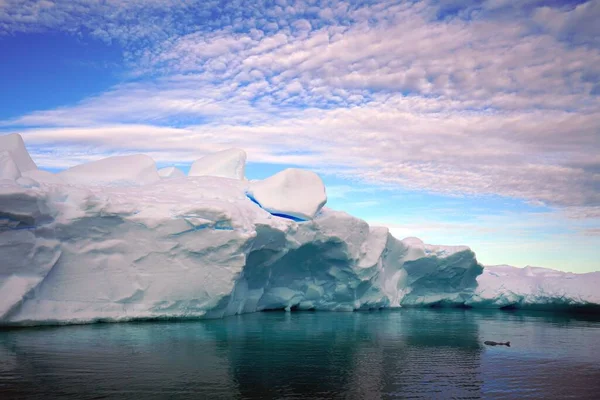 Este Verano Isla Pleneau Península Antártica Hay Pingüinos Ballenas Icebergs —  Fotos de Stock