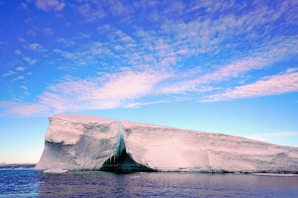 Jest Lato Wyspie Pleneau Półwyspie Antarktycznym Tam Pingwiny Wieloryby Góry — Zdjęcie stockowe