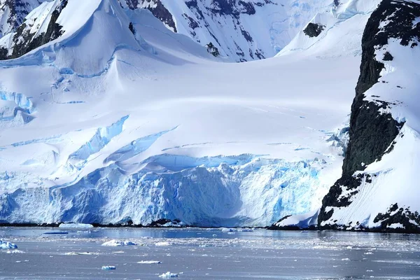 Antarktika Yarımadası Pleneau Adası Nda Yaz Mevsimindeyiz Penguenler Balinalar Buzdağları — Stok fotoğraf