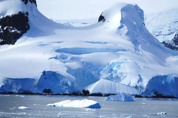 Αυτό Είναι Καλοκαίρι Στο Pleneau Island Ανταρκτική Χερσόνησο Υπάρχουν Πιγκουίνοι — Φωτογραφία Αρχείου