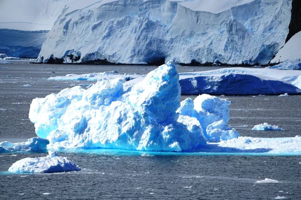 Este Verão Pleneau Island Península Antártica Pinguins Baleias Icebergs Bancos — Fotografia de Stock