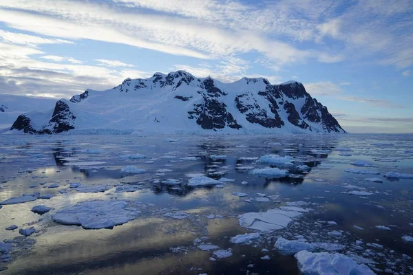 Este Verão Pleneau Island Península Antártica Pinguins Baleias Icebergs Bancos — Fotografia de Stock