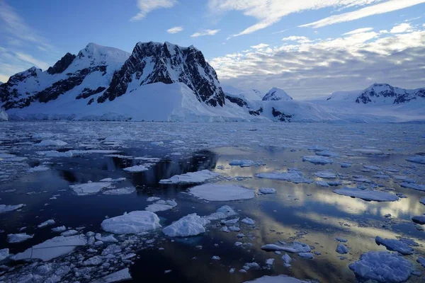 Este Verão Pleneau Island Península Antártica Pinguins Baleias Icebergs Bancos — Fotografia de Stock