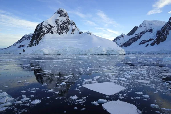 Nyár Antarktisz Félszigeten Pleneau Szigetén Van Vannak Pingvinek Bálnák Jéghegyek — Stock Fotó