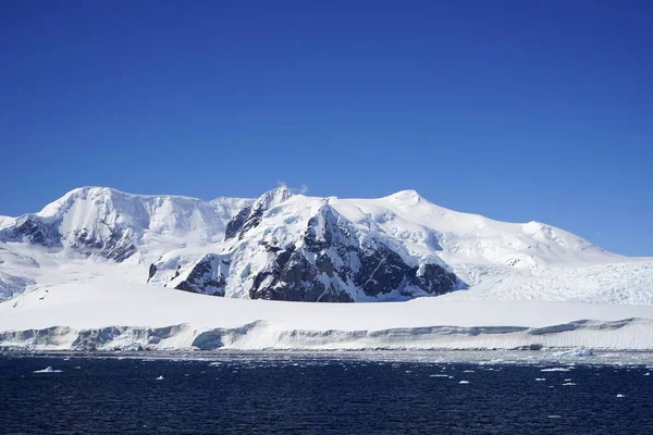 Summer Pleneau Island Antarctic Peninsula Penguins Whales Icebergs Ice Floes — Stock Photo, Image