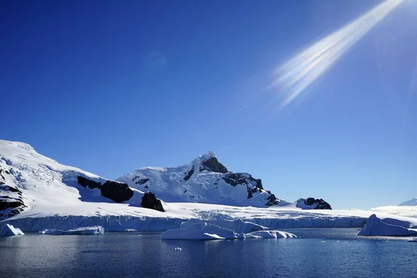 Este Verano Isla Pleneau Península Antártica Hay Pingüinos Ballenas Icebergs — Foto de Stock