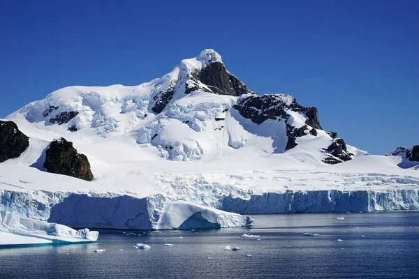 Summer Pleneau Island Antarctic Peninsula Penguins Whales Icebergs Ice Floes — Stock Photo, Image