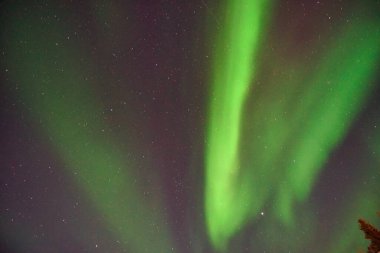 Gece gökyüzünde Aurora Borealis. Açık renkler yeşil, sarı ve kırmızıdır. Fotoğraf: Alaska, ABD 17 Mart 2016