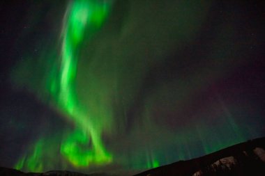 Gece gökyüzünde Aurora Borealis. Açık renkler yeşil, sarı ve kırmızıdır. Fotoğraf: Alaska, ABD 17 Mart 2016