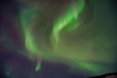 Gece gökyüzünde Aurora Borealis. Açık renkler yeşil, sarı ve kırmızıdır. Fotoğraf: Alaska, ABD 17 Mart 2016