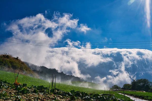 Las Nubes Blancas Asemejan Increíble Vista Las Olas Del Mar — Foto de Stock
