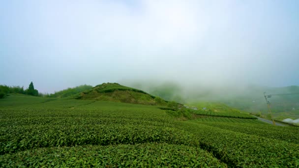 Agricoltura Del Montagna Salite Sul Sentiero Err Yan Ping Vivete — Video Stock