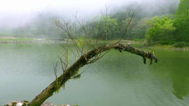 雲と霧が漂っている間の風景は夢のようなものです 明池は 台湾の宜蘭県にある涼しく快適な気候の高い山の湖です — ストック動画