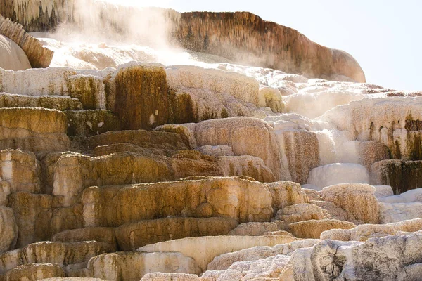 猛犸象温泉和黄色的淡绿色梯田 黄石公园以其丰富的野生动物种类和地热资源而闻名 — 图库照片