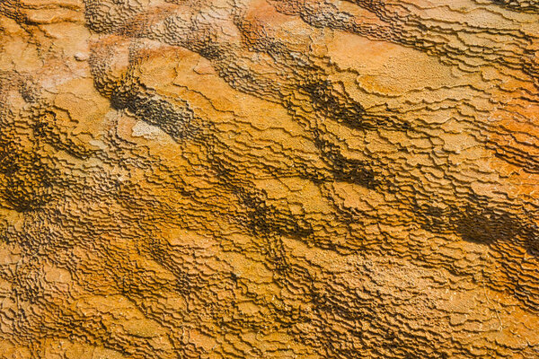 Пейзаж Йеллоустонского национального парка, Травертинская терраса. Йеллоустонский национальный парк славится своими богатыми видами дикой природы и геотермальными ресурсами.