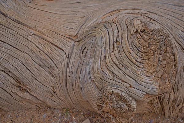 Texture Ancient Wooden Natural Background Arches National Park Highest Density — Stock Photo, Image