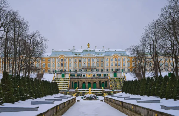 The Peterhof Palace(Petrodvorets) with snow, tree and alley. State Museum. Palace and park referred to Russian Versailles, St. Petersburg, Russia. Feb. 2017.