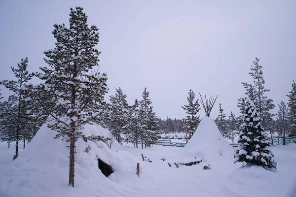 Traditional reindeer-skin tents (lappish yurts) in the Sami Village. The tents and trees are covered with snow. Murmansk, Russia. march 2017.