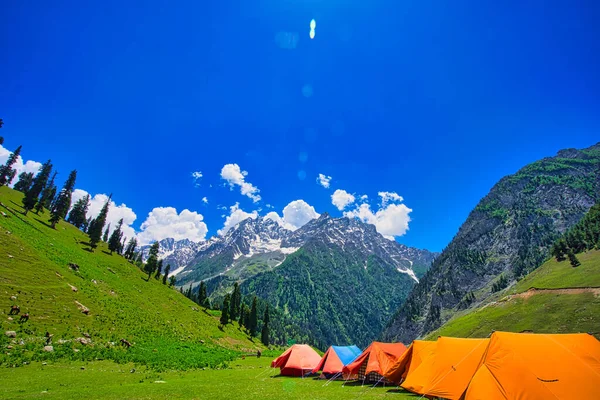 구름아름다운 계곡에서 캠핑중이었어 2018 Depth Trip Sonamarg Hill Trek Jammu — 스톡 사진