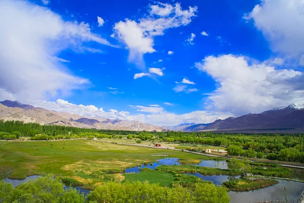 Der Pangong Tso Oder Pangong See Ist Ein Brackwassersee Sümpfe — Stockfoto