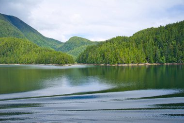 Yolcu gemisinin gölde dalgalanmaları. Huzurlu güzellik. Yolcu gemisi yol boyunca manzaralı bir şekilde Kanada fiyortlarından geçiyor. Haziran 2019.