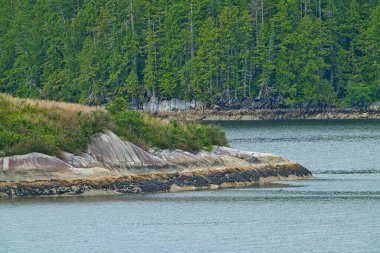 Green trees, textured rocks washed by the river. The cruise ship sails through the fjords of Canada, with views along the way. June 2019.