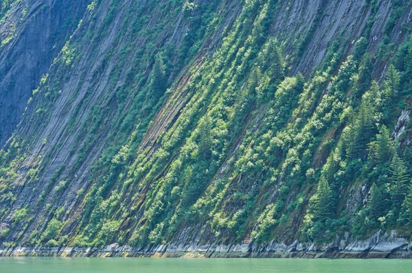 Las Plantas Verdes Cubren Las Paredes Rocosas Montaña Los Fiordos — Foto de Stock