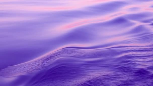 Purple Wavy Background Sea Level Moves Smoothly Forms Ripple Nature — 图库视频影像