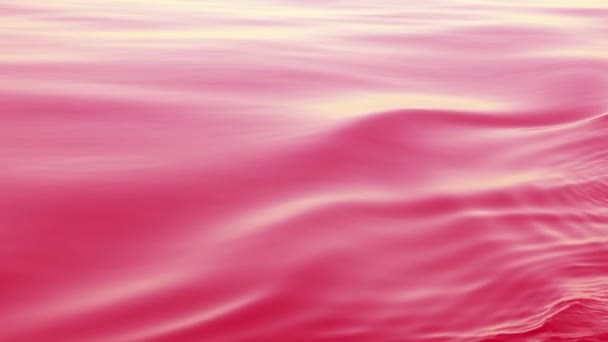 Pink Wavy Background Sea Level Moves Smoothly Forms Ripple Nature — 图库视频影像