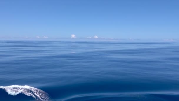 Biru Latar Belakang Bergelombang Permukaan Laut Bergerak Dengan Lancar Dan — Stok Video